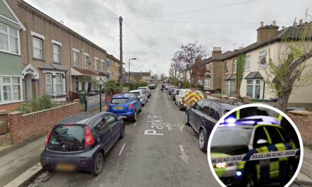 Walthamstow stabbing as group of males spotted fighting