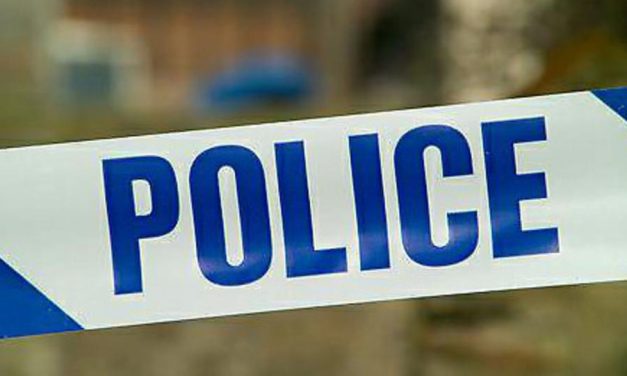 Man admits drug offences after two found dead in Basildon