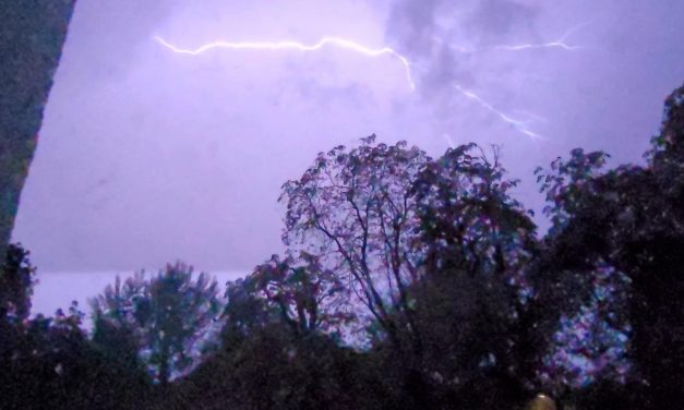 Hourly forecast for London as Met Office warnings for thunderstorms