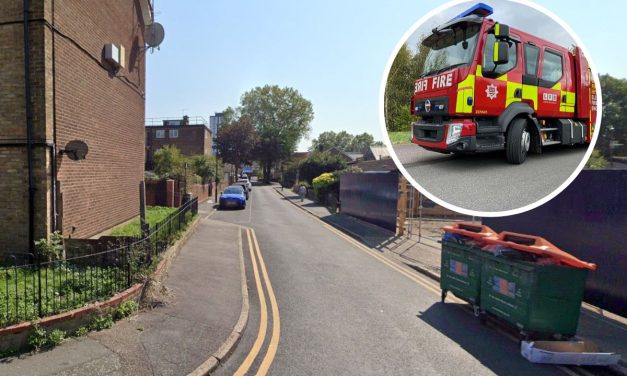 Man, woman and cat rescued from flat fire in Plaistow