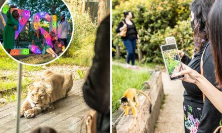 London Zoo to offers adults-only evening tickets this summer