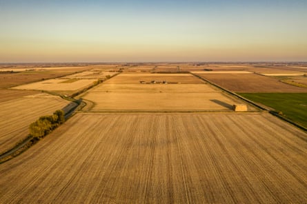 More wildlife-friendly farming needed to stop decline of insects in Britain, says report | Insects