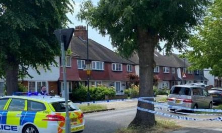 Nottingham, Wembley, Thornton Heath: Three Londoners murdered