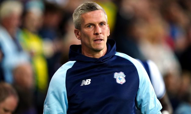 Steve Morison committed to success as Hornchurch manager
