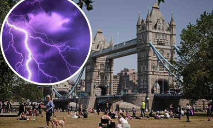 Met Office: Hour-by-hour forecast for London amid thunderstorm warning
