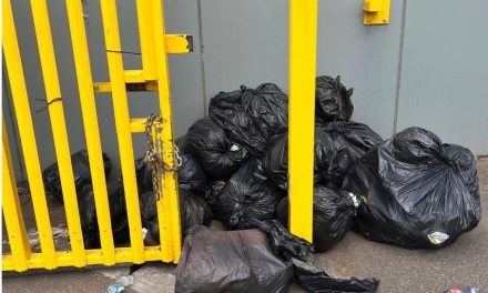 Leytonstone man fined after fly-tipping in Redbridge