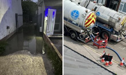 Chadwell Heath sewage water leak leaves gardens flooded