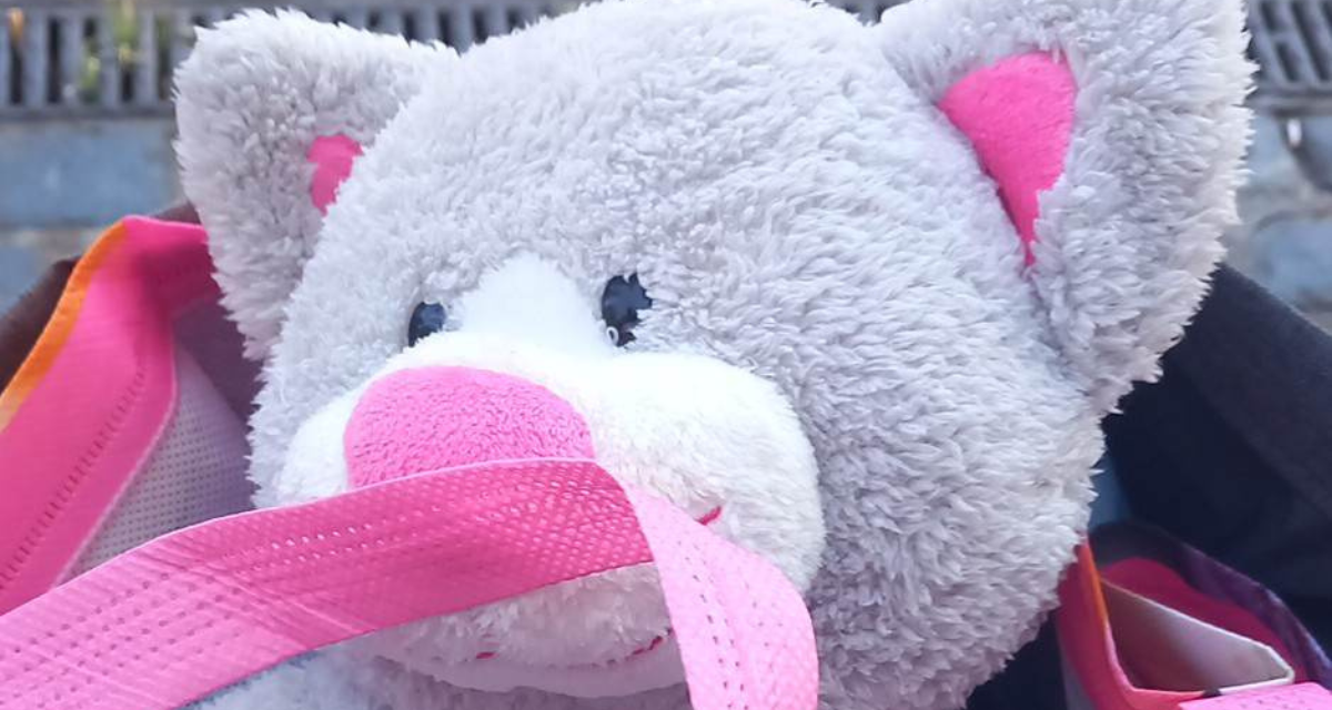 Romford market worker appeals to reunite bear with owner