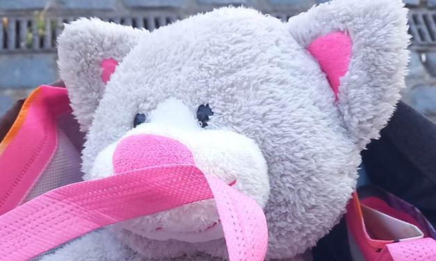 Romford market worker appeals to reunite bear with owner
