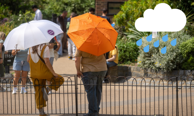 London weather: This is when it will rain amid heatwave