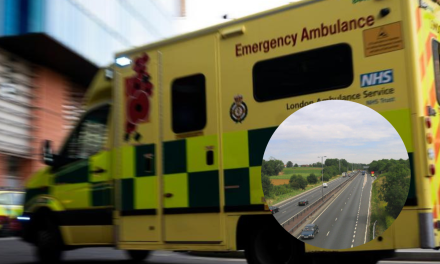 Man dead after A12 collision which saw queues to Brentwood