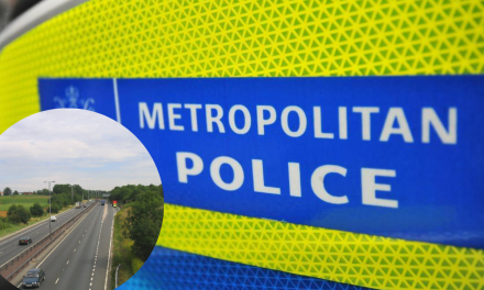Two bailed after fatal A12 crash that saw queues to Brentwood
