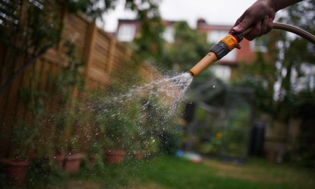 Thames Water update on likelihood of London hosepipe ban