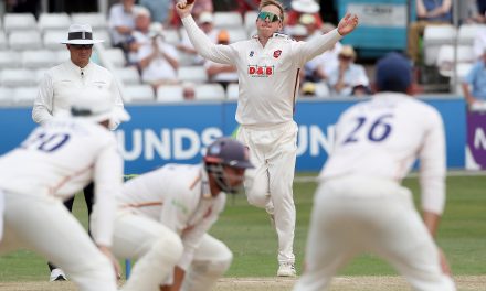 Essex spin king Simon Harmer: I’m not really a stats guy