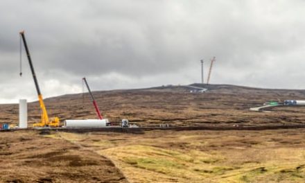 New windfarm could be used to power North Sea oilfield | Oil