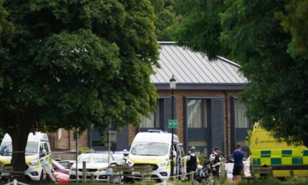 Wimbledon school car crash leaves 7 children and 2 adults injured