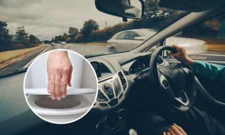 Having a wee before getting in a car could save your life