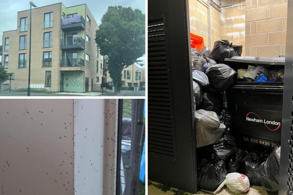 Flies at Custom House, Newham flats ‘trigger fire alarm’