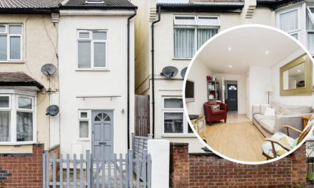 Zoopla is selling a skinny house in East London- Look inside