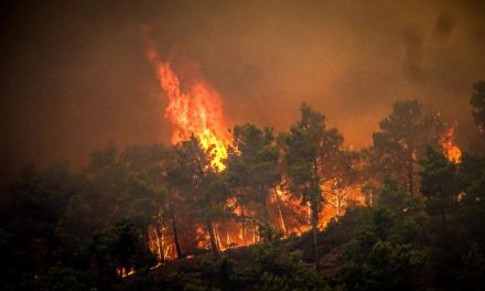 What to in a forest fire as Spain updates travel advice