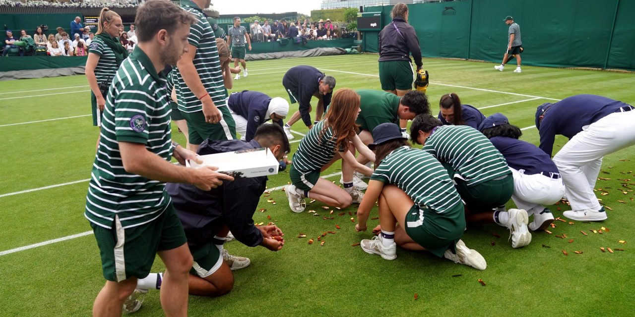 Just Stop Oil members charged with aggravated trespass at Wimbledon