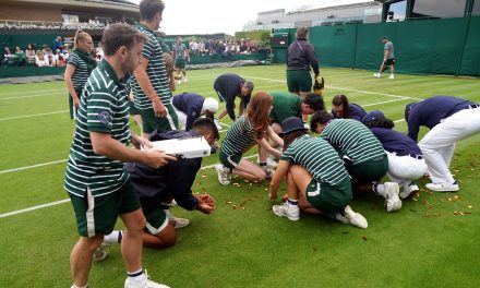 Just Stop Oil members charged with aggravated trespass at Wimbledon