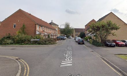 Air ambulance attends Chadwell Heath toddler fall from window