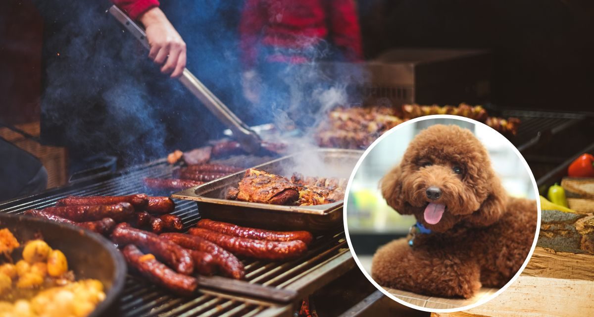 Yorkshire Vet warns BBQ meat could be life threatening to dogs