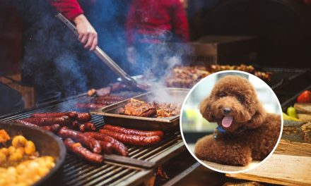 Yorkshire Vet warns BBQ meat could be life threatening to dogs