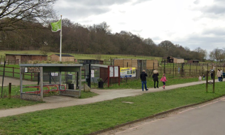Redbridge parks get Green Flag awards from Keep Britain Tidy