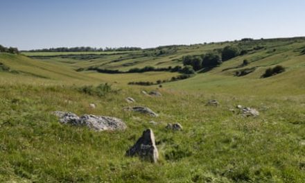 ‘Hugely exciting and rare’: Neolithic polishing stone found in Dorset | Archaeology
