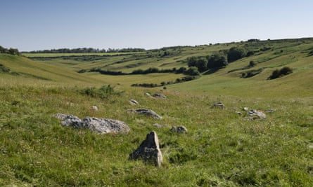 ‘Hugely exciting and rare’: Neolithic polishing stone found in Dorset | Archaeology