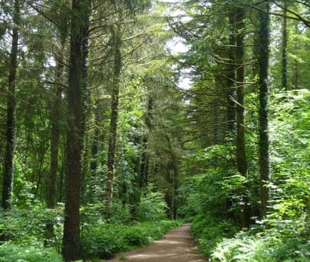 Cornwall unveils new walking route linking its north and south coasts | Cornwall