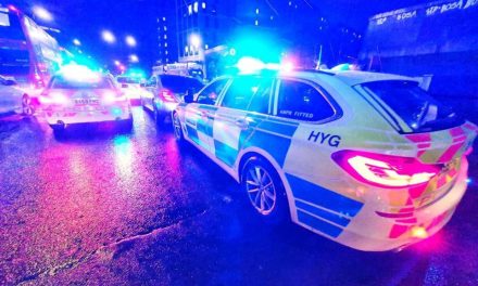 Parkside Road Hounslow stabbing: Man dies