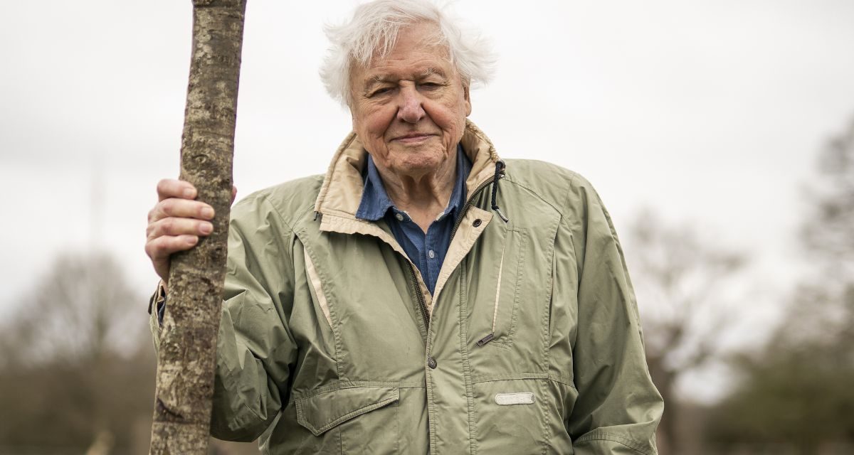 Sir David Attenborough returns to present Planet Earth III