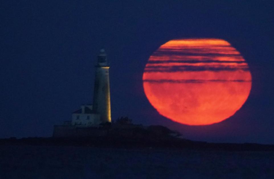 Two supermoons and Perseid Meteor Shower set for UK skies