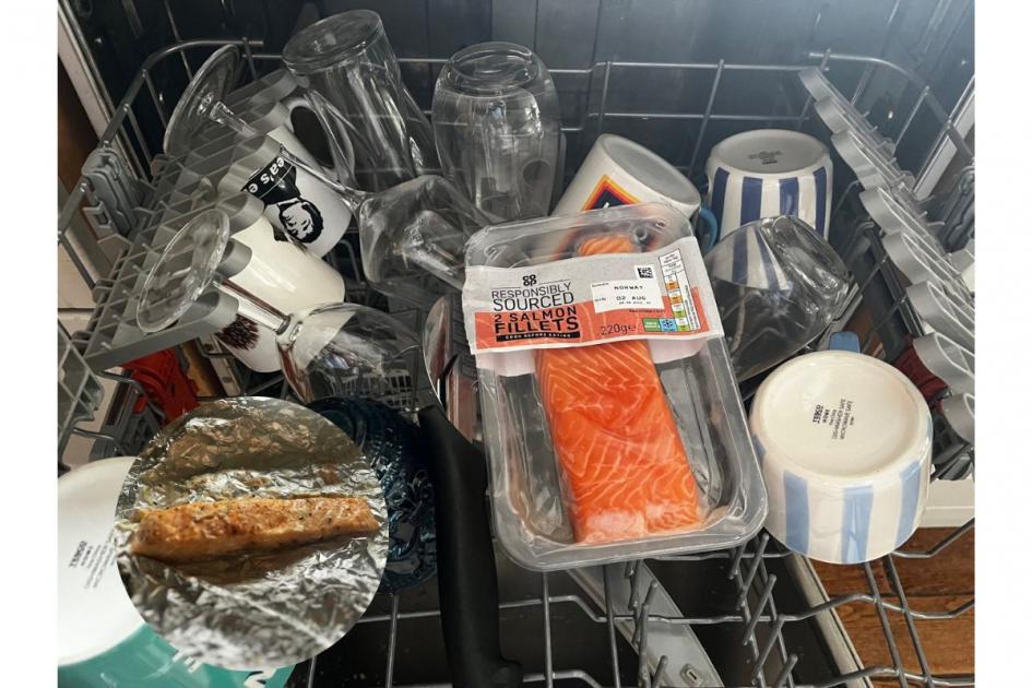 Dishwasher salmon: The TikTok crime against all fish