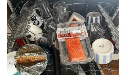 Dishwasher salmon: The TikTok crime against all fish