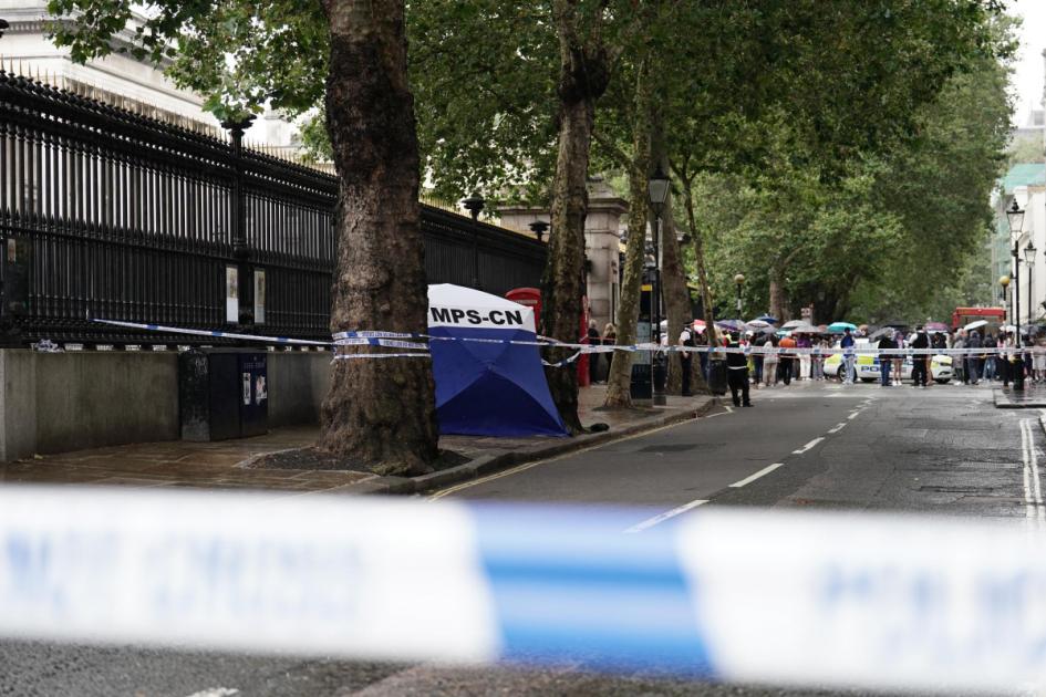 Russell Street British Museum stabbing: Pictures from scene