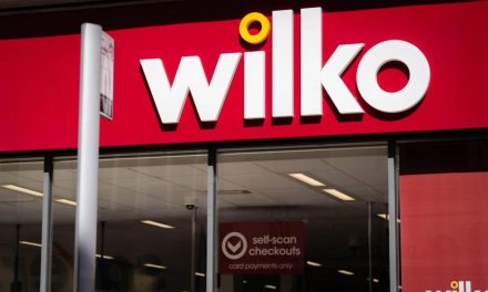 Wilko jobs not currently at risk, GMB union reveals