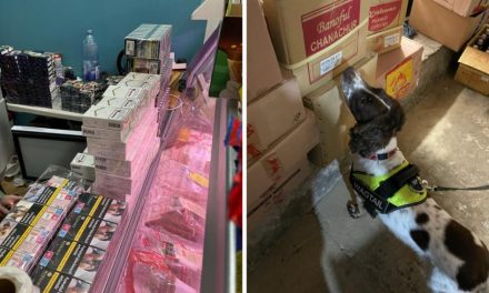 Thousands of illegal tobacco seized from Newham shops