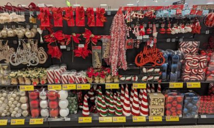 Home Bargains shoppers stunned as Christmas items on sale