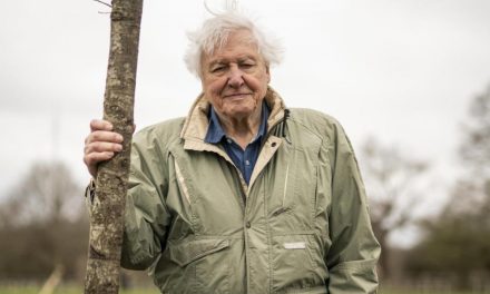 David Attenborough to star in Sky series about animal sounds