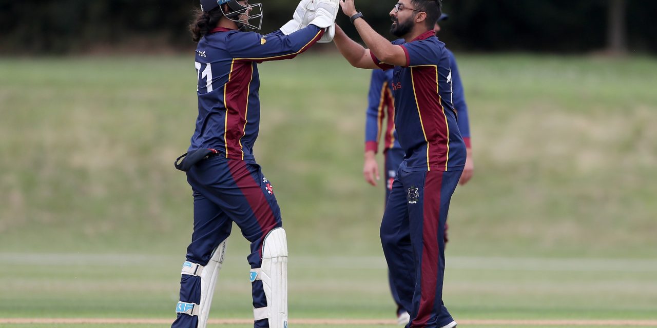 Wanstead captain hails brilliant day at T20 Area final