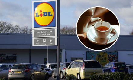 Lidl is changing it’s own-branded tea bags – this is why