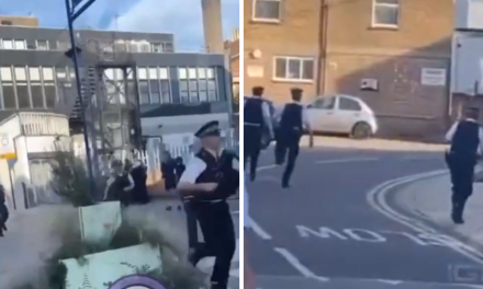 Youths run from police during Romford ‘planned looting event’