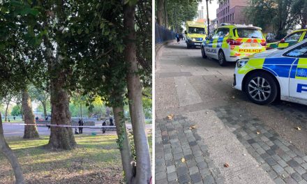 Man in hospital after 'fight and stabbing' in Stratford Park