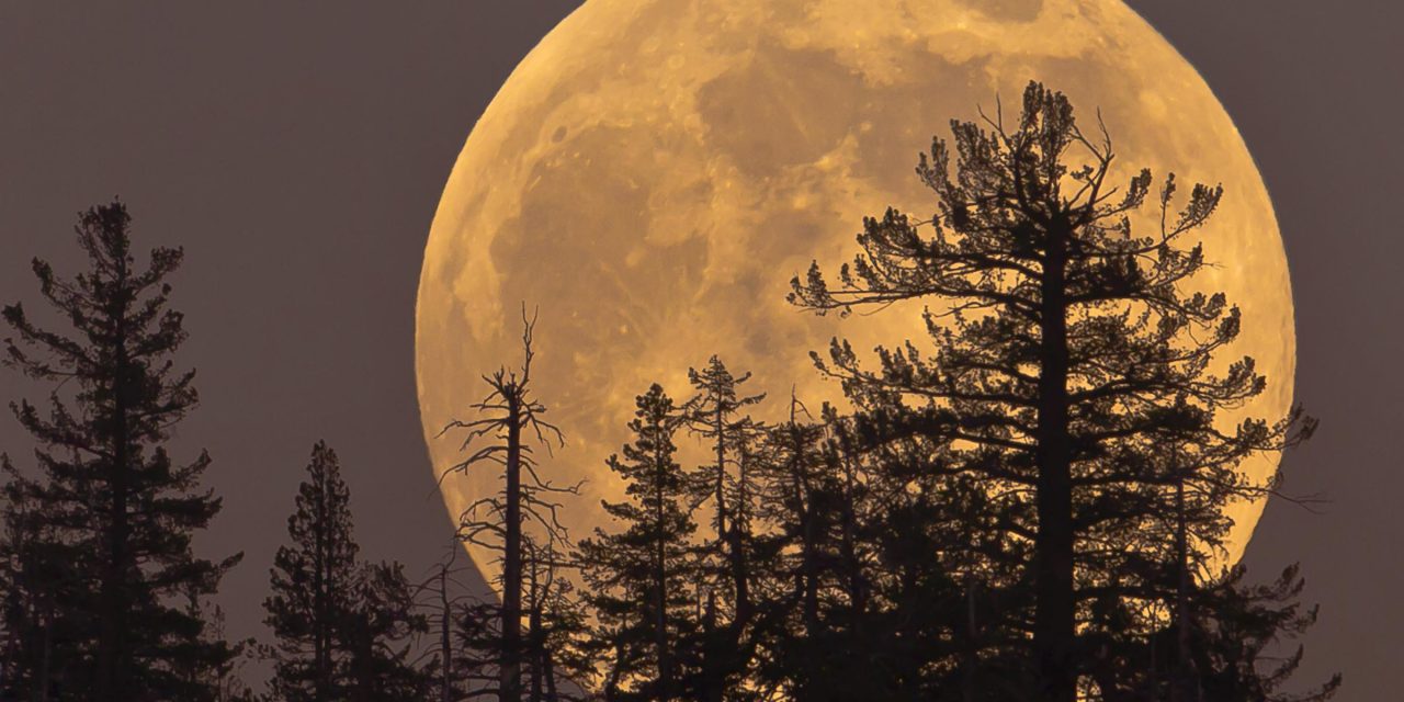 Blue Moon Supermoon to appear above UK skies this week