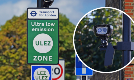 How many ULEZ cameras are there and how do they work?