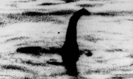 Loch Ness monster enthusiasts gear up for biggest search in 50 years | Scotland